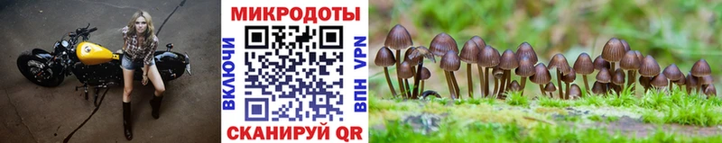 Галлюциногенные грибы Psilocybine cubensis  купить   OMG вход  Отрадный 